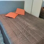 Omenapolun Onni Accommodatie bij particulieren Taipalsaari