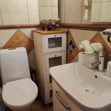 民宿 Omenapolun Onni Taipalsaari